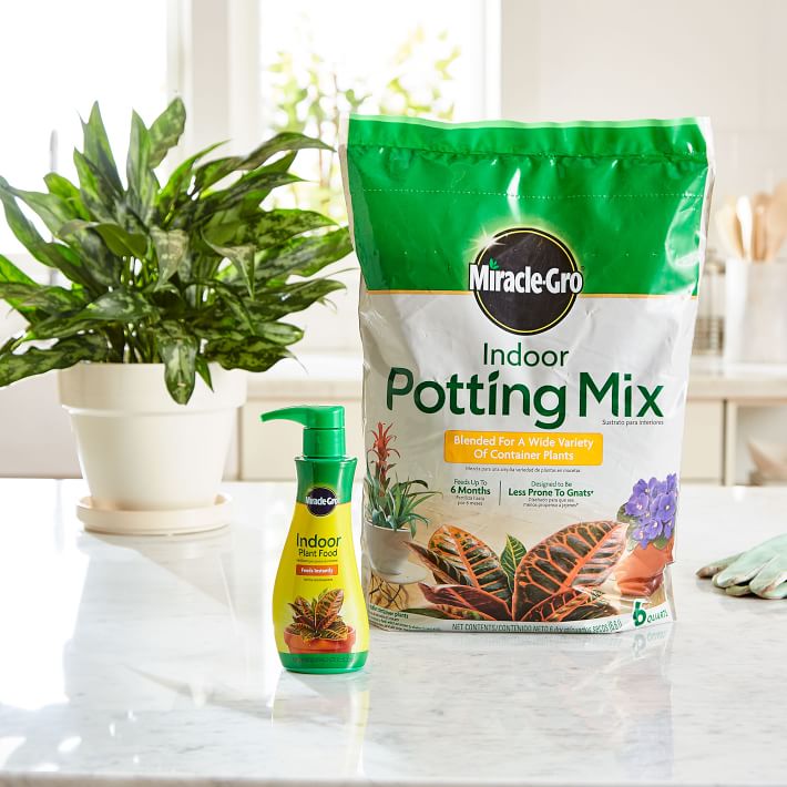 Miracle-Gro Indoor Potting Mix &amp; Plant Food
