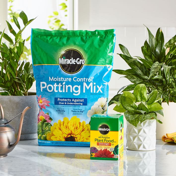 Miracle-Gro Potting Mix &amp; All Purpose Plant Food