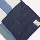 Anchal Project Multi-Check Throw