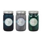 Modern Sprout Garden Jar Herbs - Set of 3