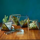 Glass + Metal Faceted Terrariums