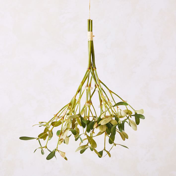 Hanging Mistletoe Bundle