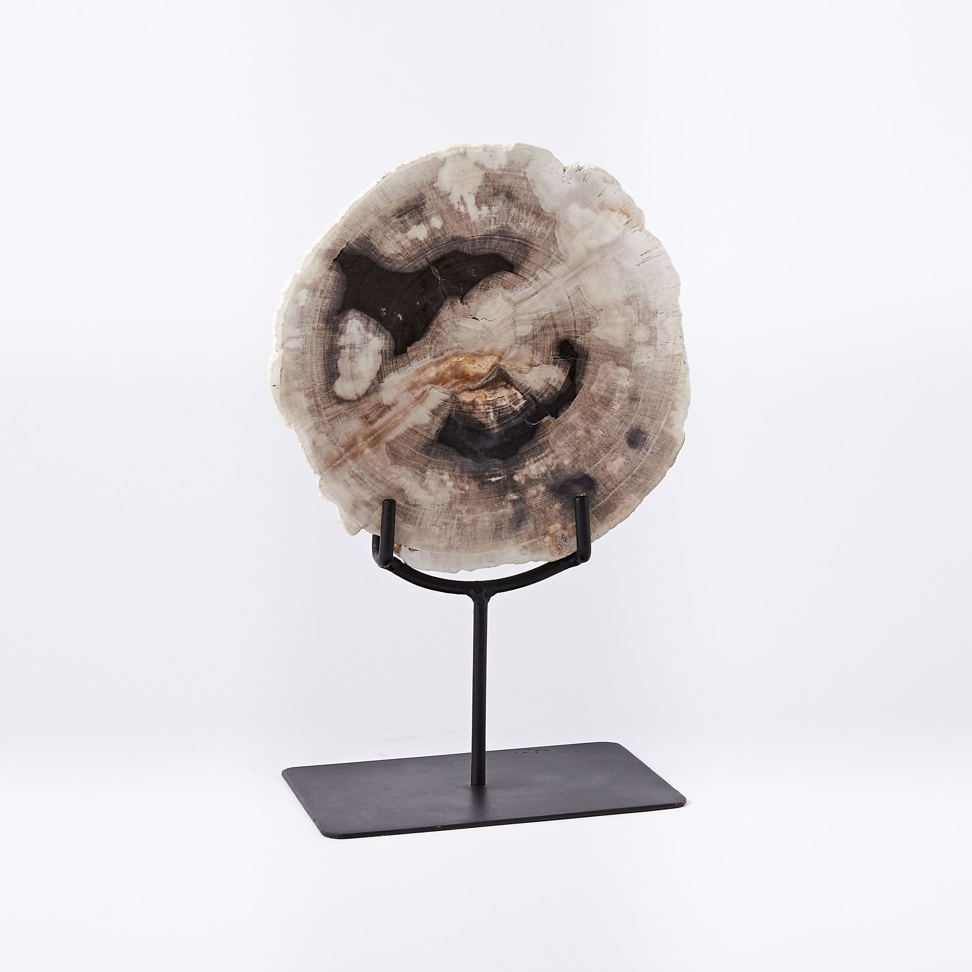 Petrified Wood Object on Stand, Decorative Accents | West Elm