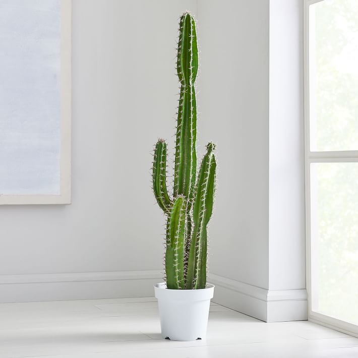 Open Box: Faux Potted Cactus Plant