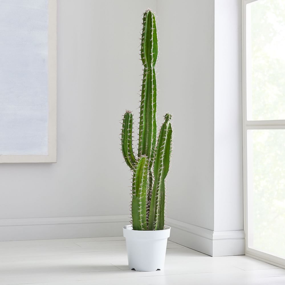 Faux Botanicals, Potted Cactus