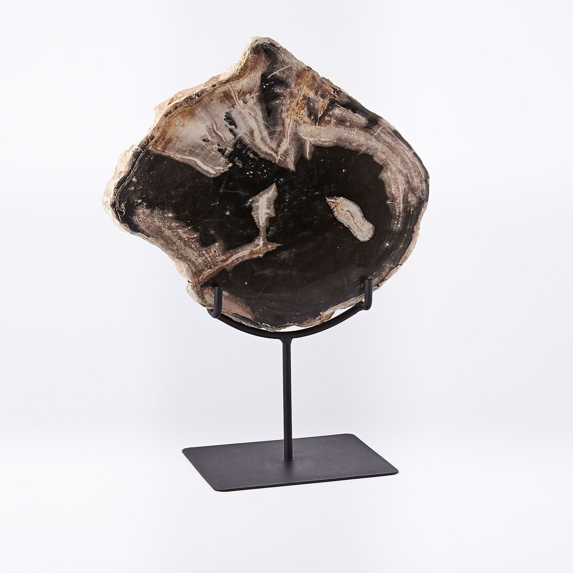 Petrified Wood Object on Stand, Decorative Accents | West Elm