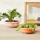 Bergs Erbe Indoor/Outdoor Bowl Planters