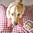 Buffalo Check Envelope Dog Bed