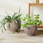 Bergs Piccolina Indoor/Outdoor Planters