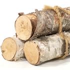 Birch Logs - Set of 3