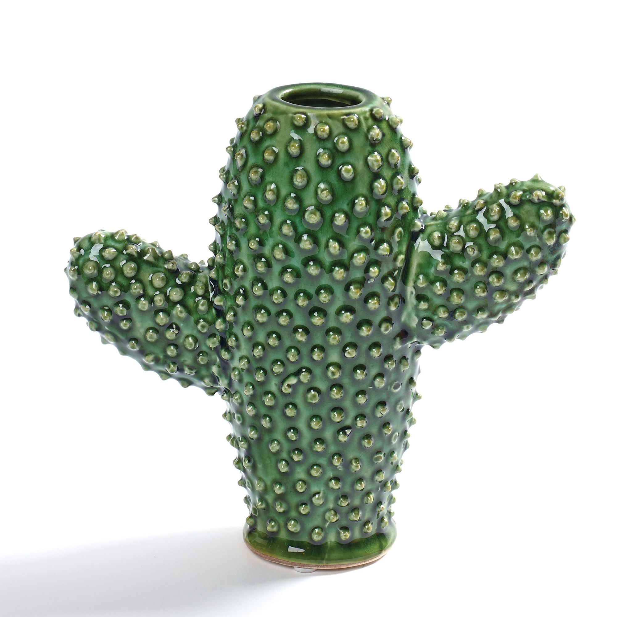 Glass Cactus Vase | West Elm