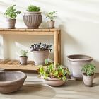 Bergs Erbe Indoor/Outdoor Bowl Planters