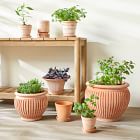 Bergs Piccolina Indoor/Outdoor Planters