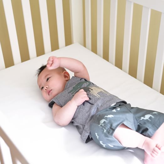 Lullaby Earth Healthy Support Crib Mattress West Elm