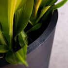 Veradek Curve Grooved Indoor/Outdoor Planter