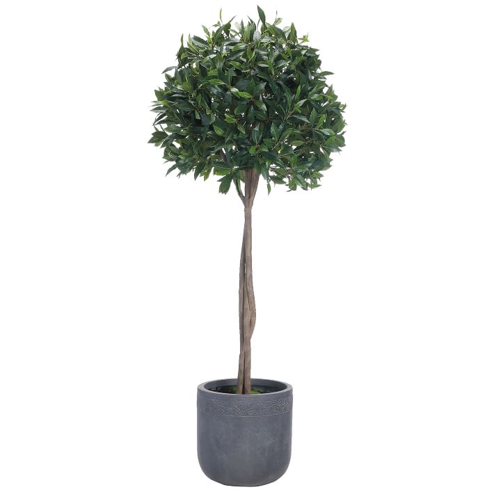 Faux Potted Bay Leaf Topiary w/ Planter