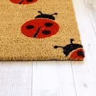 Nickel Designs Hand-Painted Doormat - Ladybug