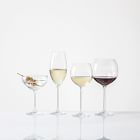 Note Crystal Champagne Glasses (Set of 6)