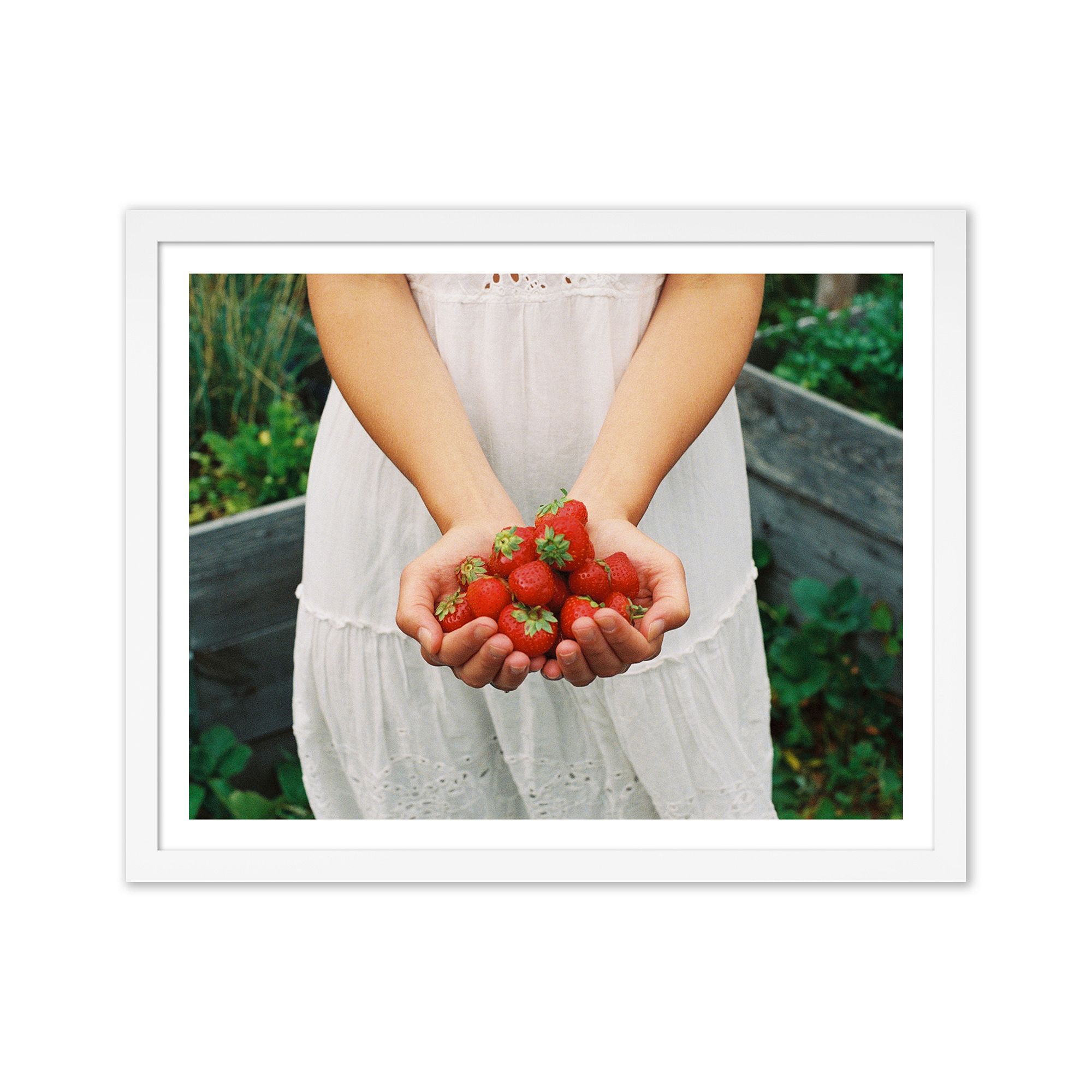 Summer Harvest Framed Print by Morgan Ashley | West Elm