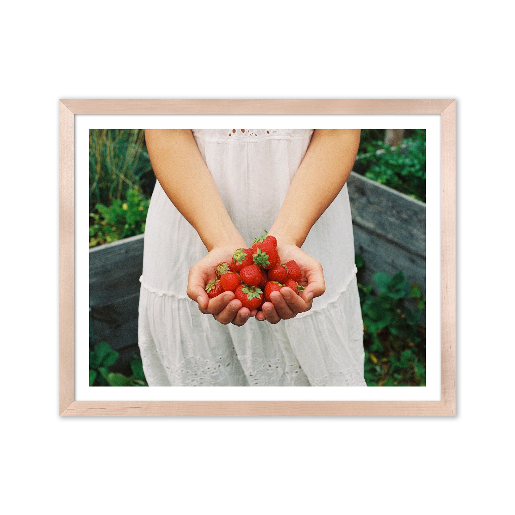 Summer Harvest Framed Print by Morgan Ashley | West Elm