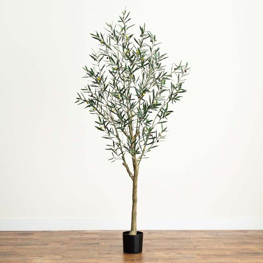 Faux Potted Greco Olive Tree | West Elm