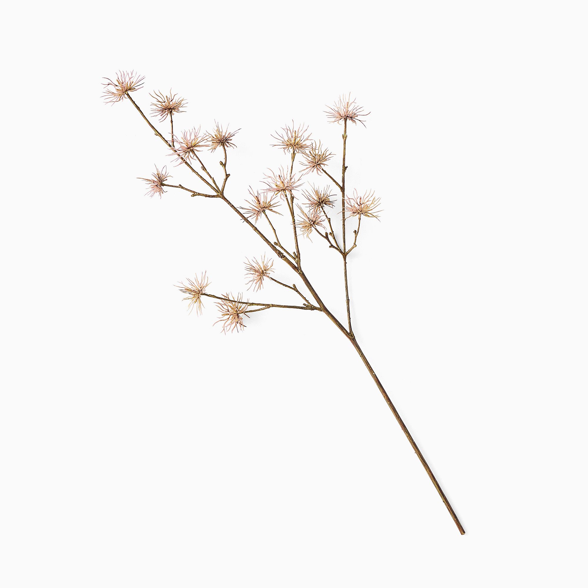 Faux Thistle Branch | West Elm