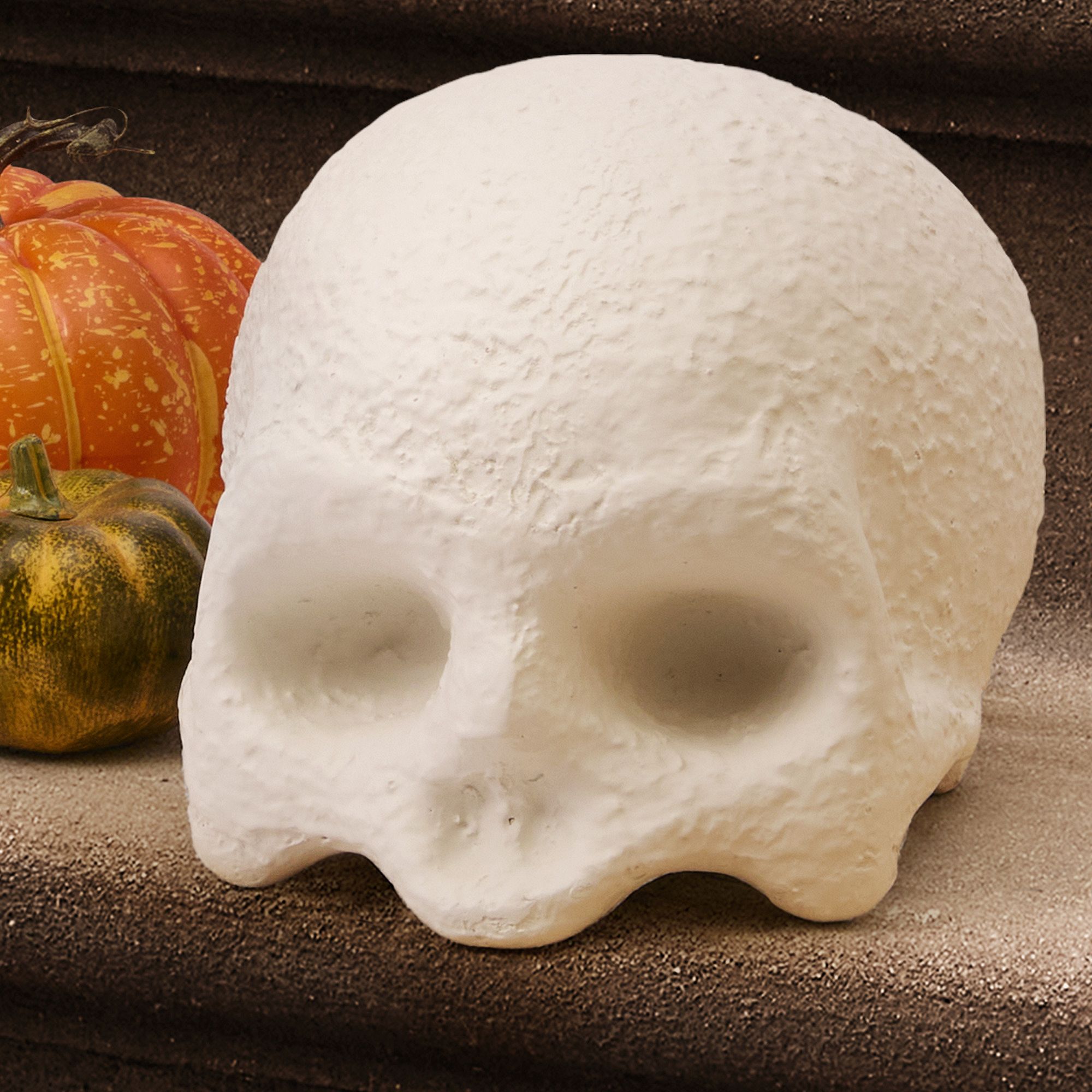 Indoor/Outdoor Skull & Bone Decorative Objects | West Elm
