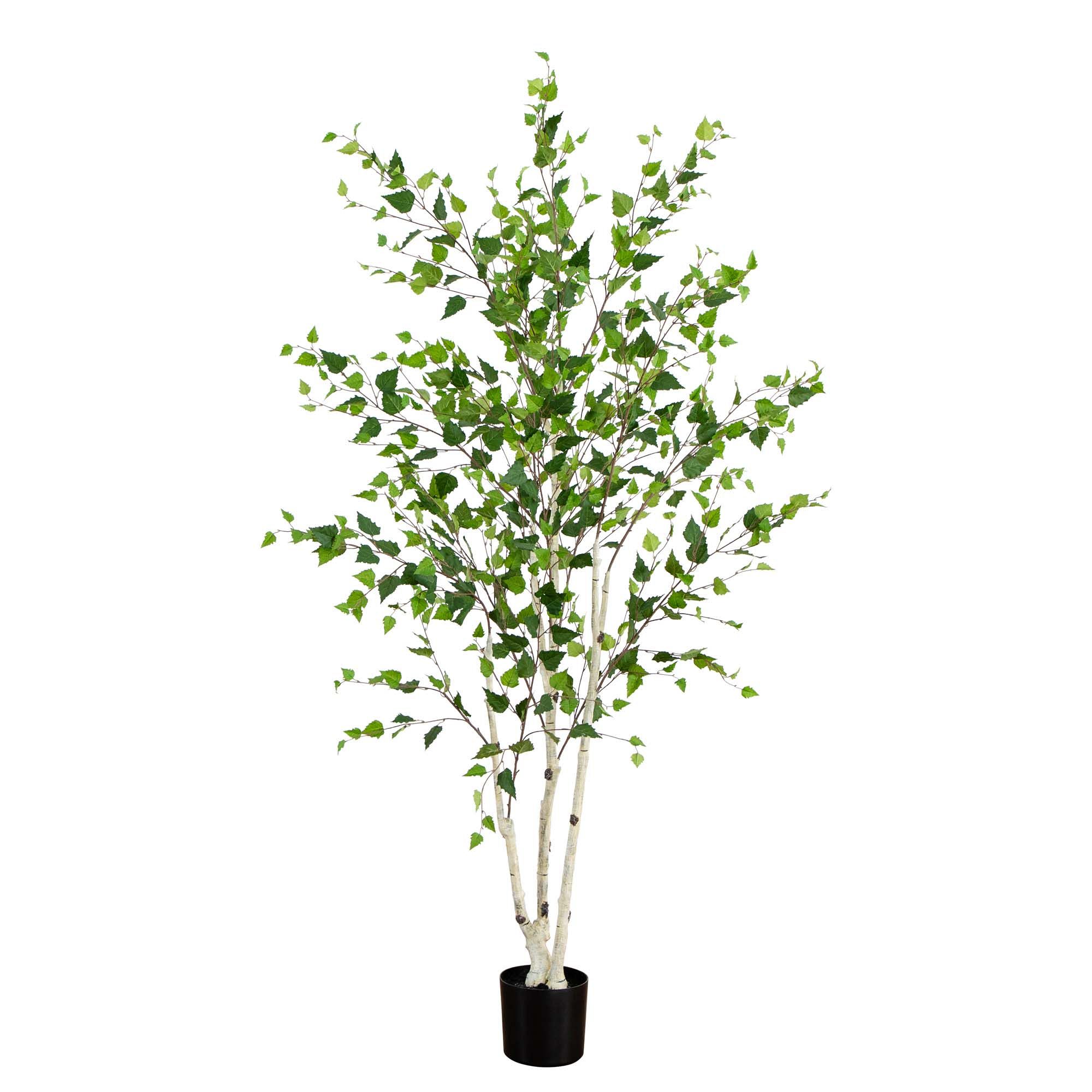 Faux Potted Birch Tree | West Elm