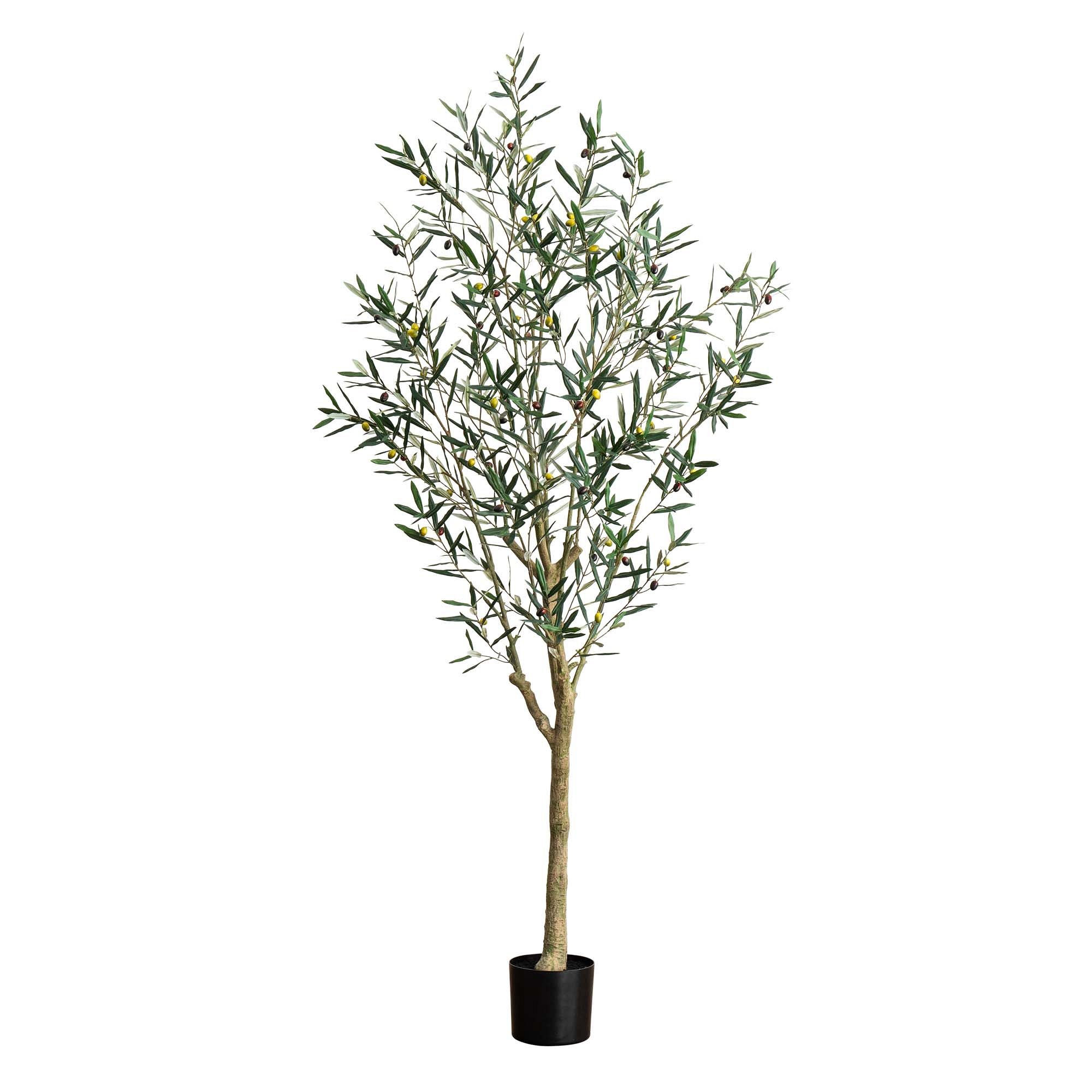 Faux Potted Greco Olive Tree | West Elm