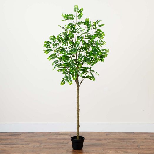 Faux Potted Greco Citrus Tree | West Elm