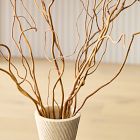 Dried Curly Willow Branches (Set of 12)