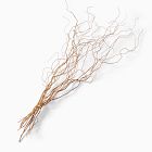 Dried Curly Willow Branches (Set of 12)