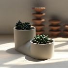 Misewell Ceramic Wall &amp; Tabletop Planter - White