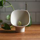 Misewell Chamber Tealight Candle Holder &amp; Planter