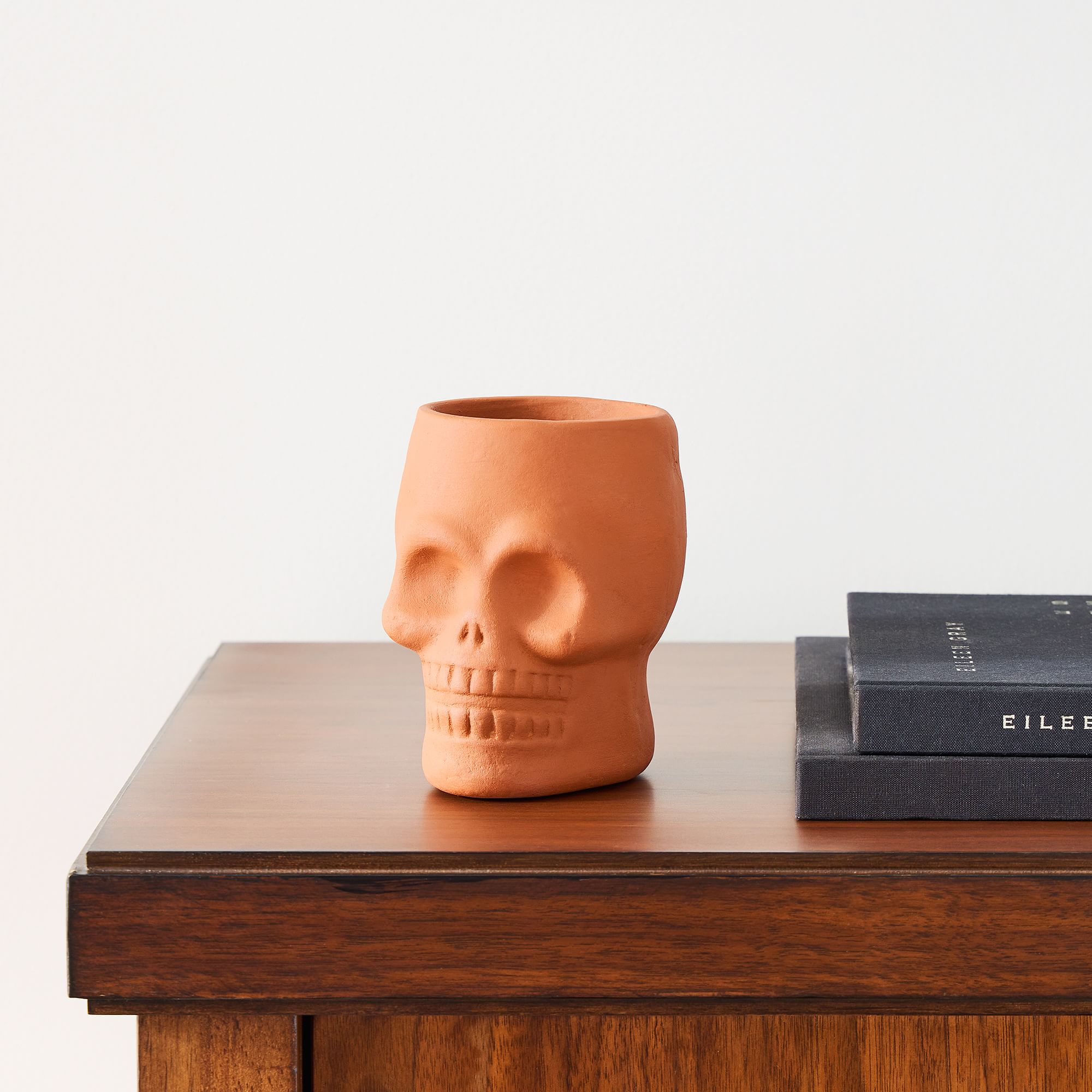 Terracotta Skull Vase | West Elm