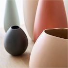 Organic Ceramic Vases