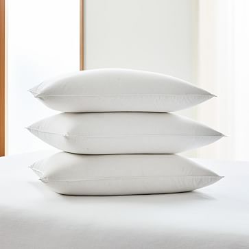 European Down Pillow Insert West Elm