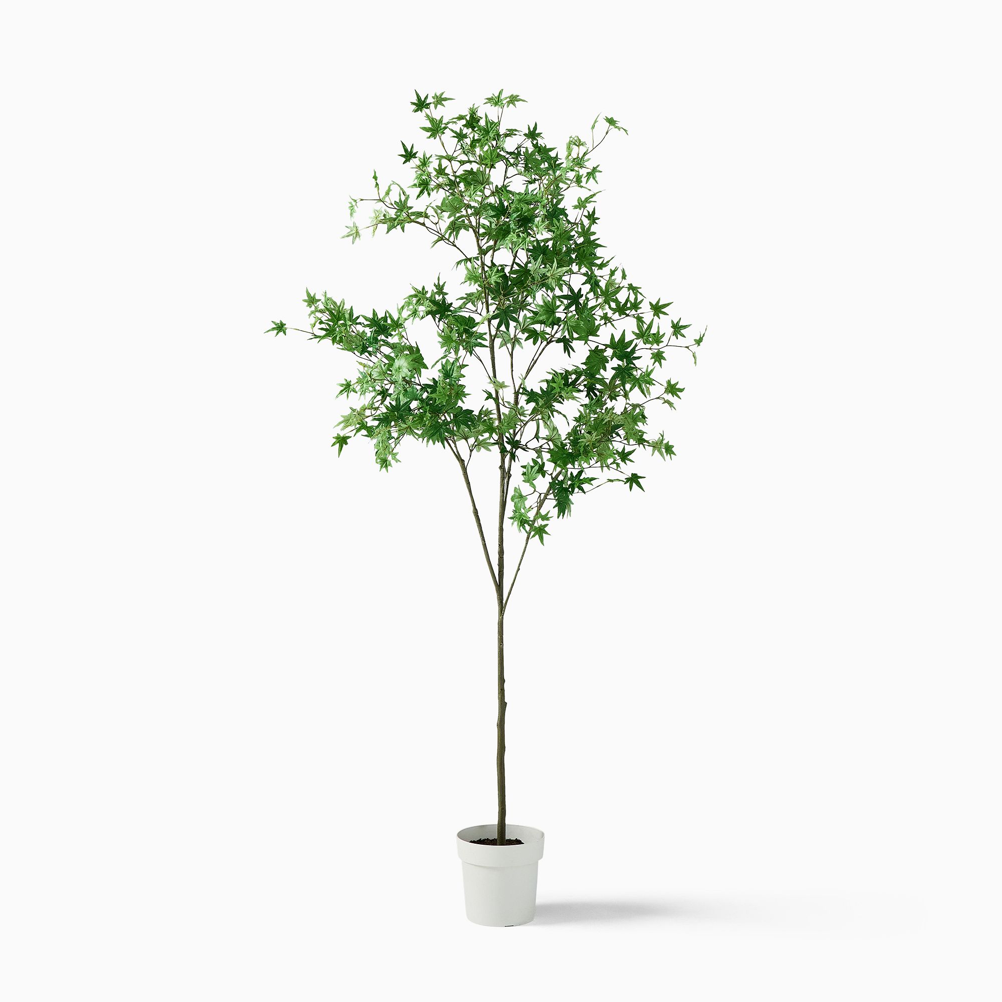 Faux Maple Potted Tree | West Elm