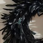Spooky Feathers Wreath