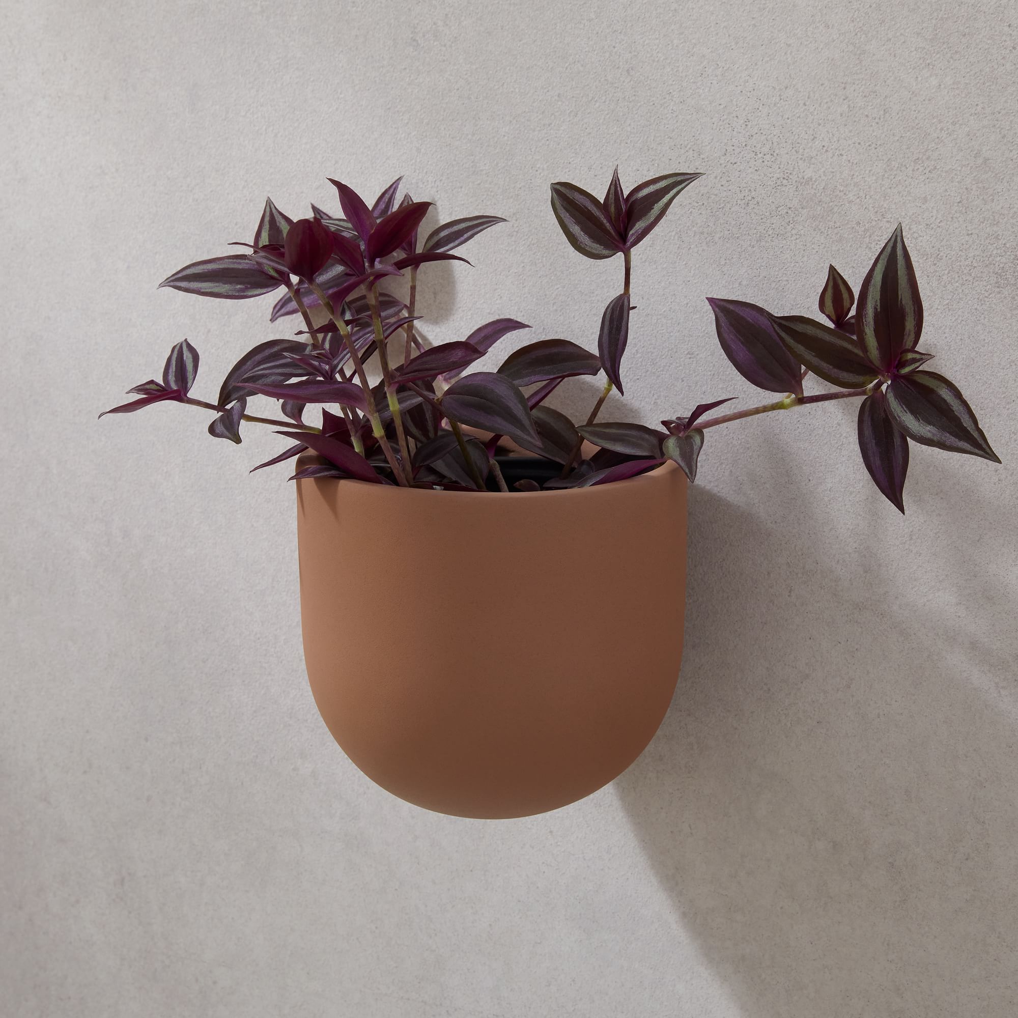 Ceramic Indoor/Outdoor Wallscape Planters | West Elm