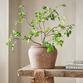 Faux Potted Bursera Plant | West Elm