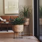 Hilo Basket Planters