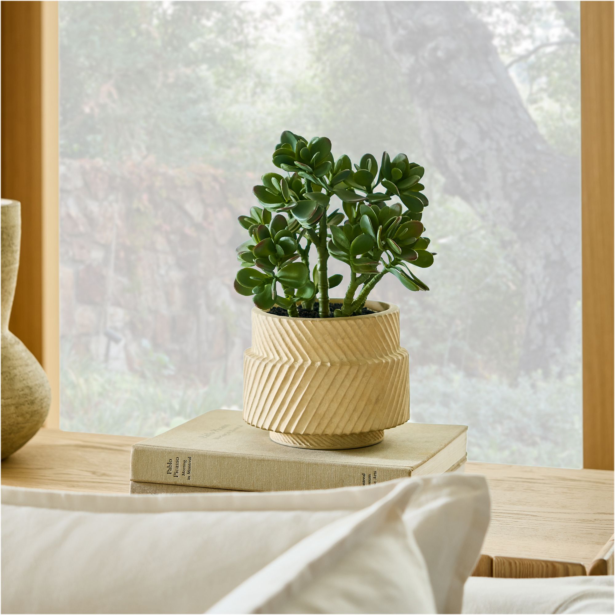 Faux Potted Jade Plant | West Elm