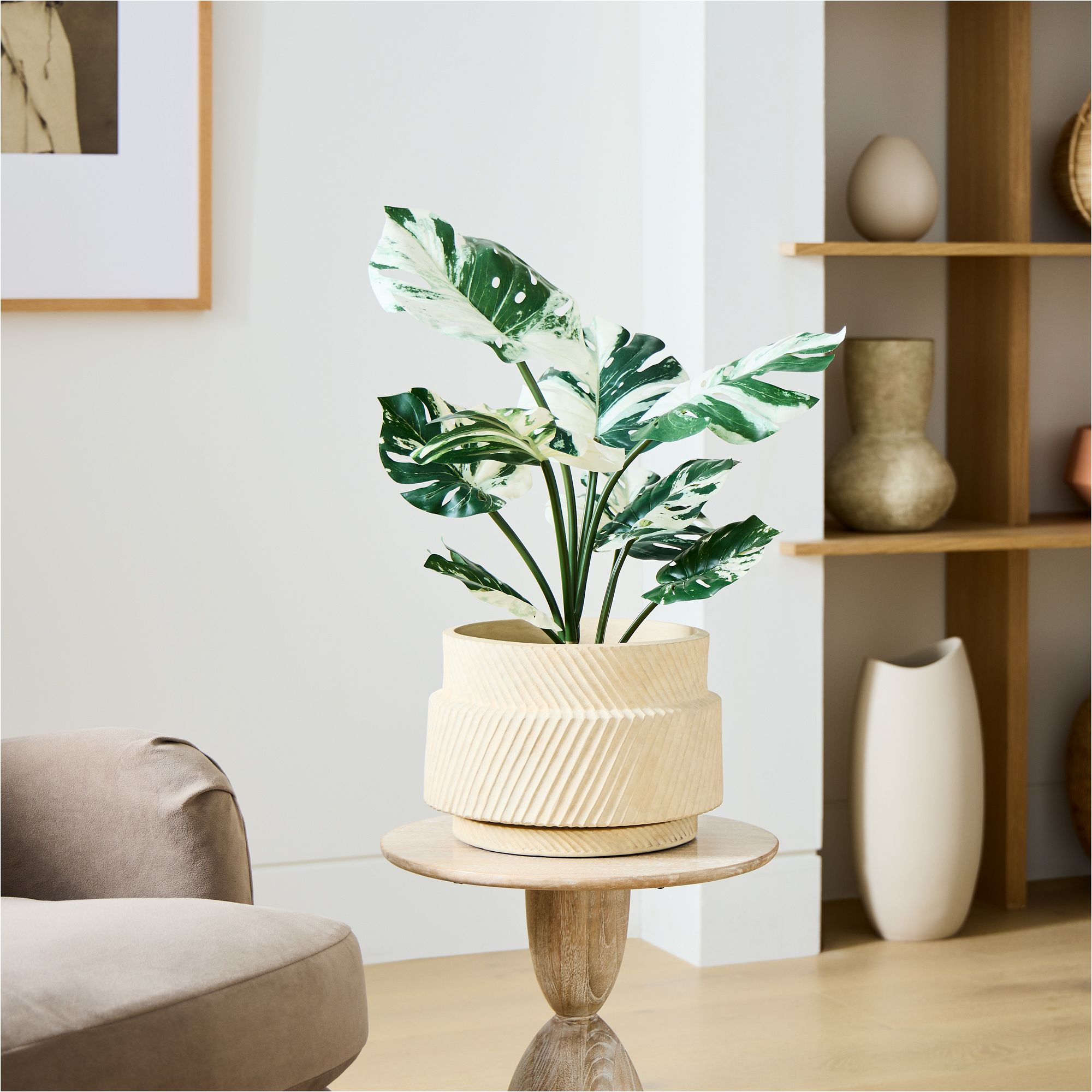 Faux Potted Variegated Monstera Plant | West Elm