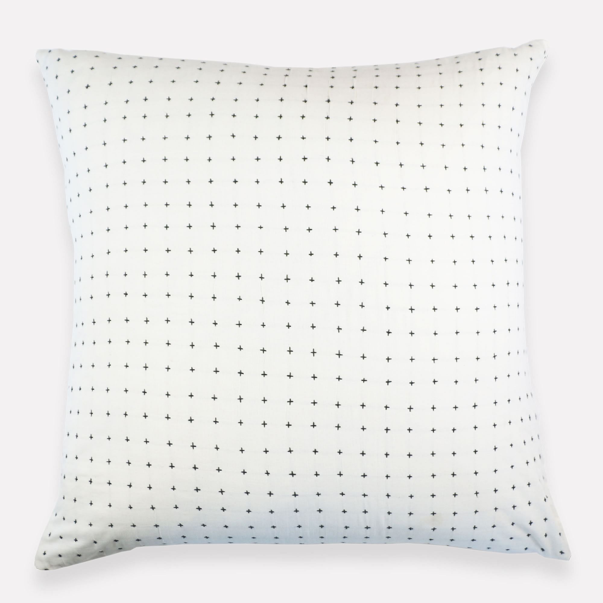 Anchal Project Euro Sham | West Elm