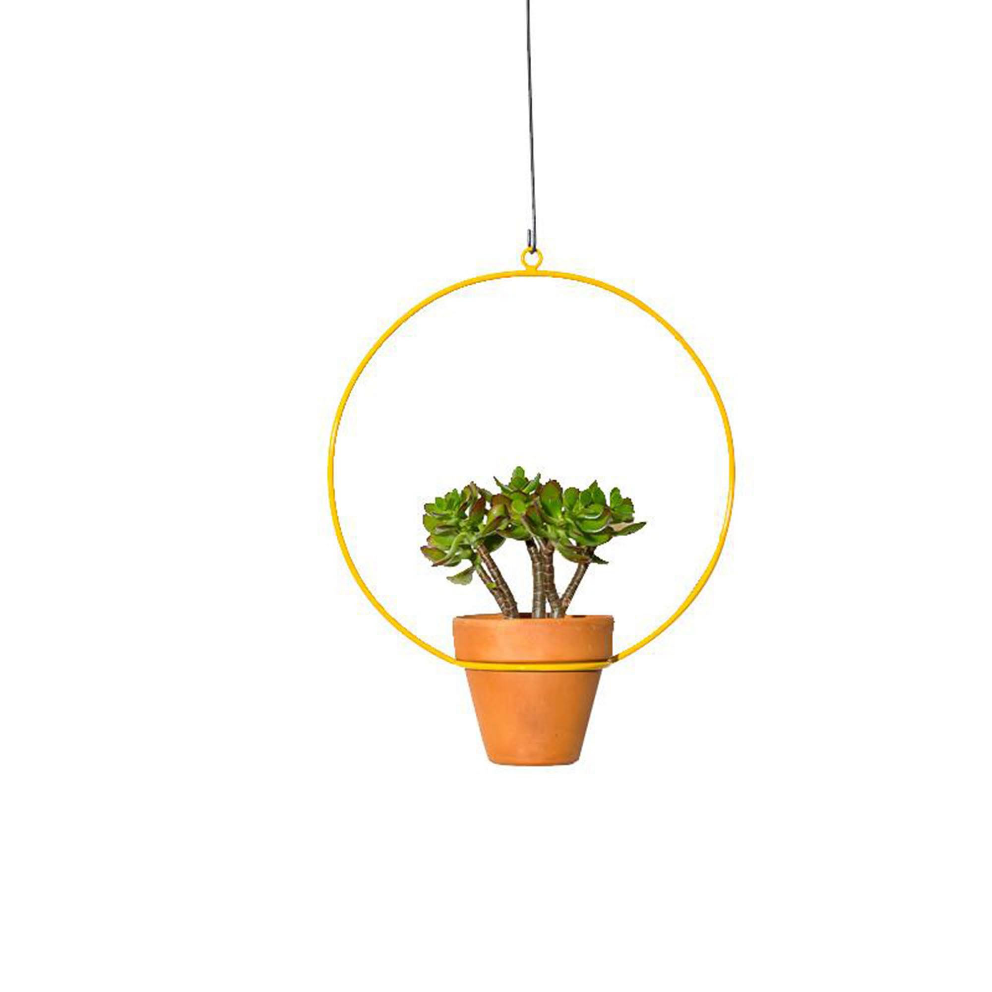 NewMade LA Circle Hanging Planter | West Elm