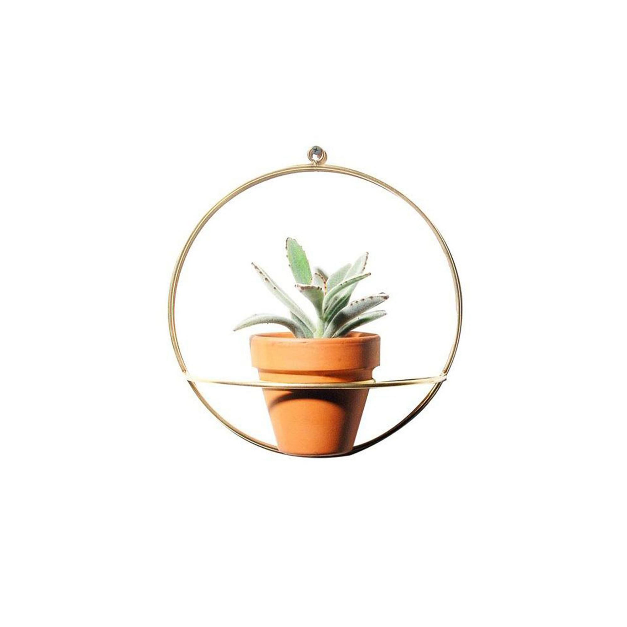 NewMade LA Circle Wall Planter | West Elm