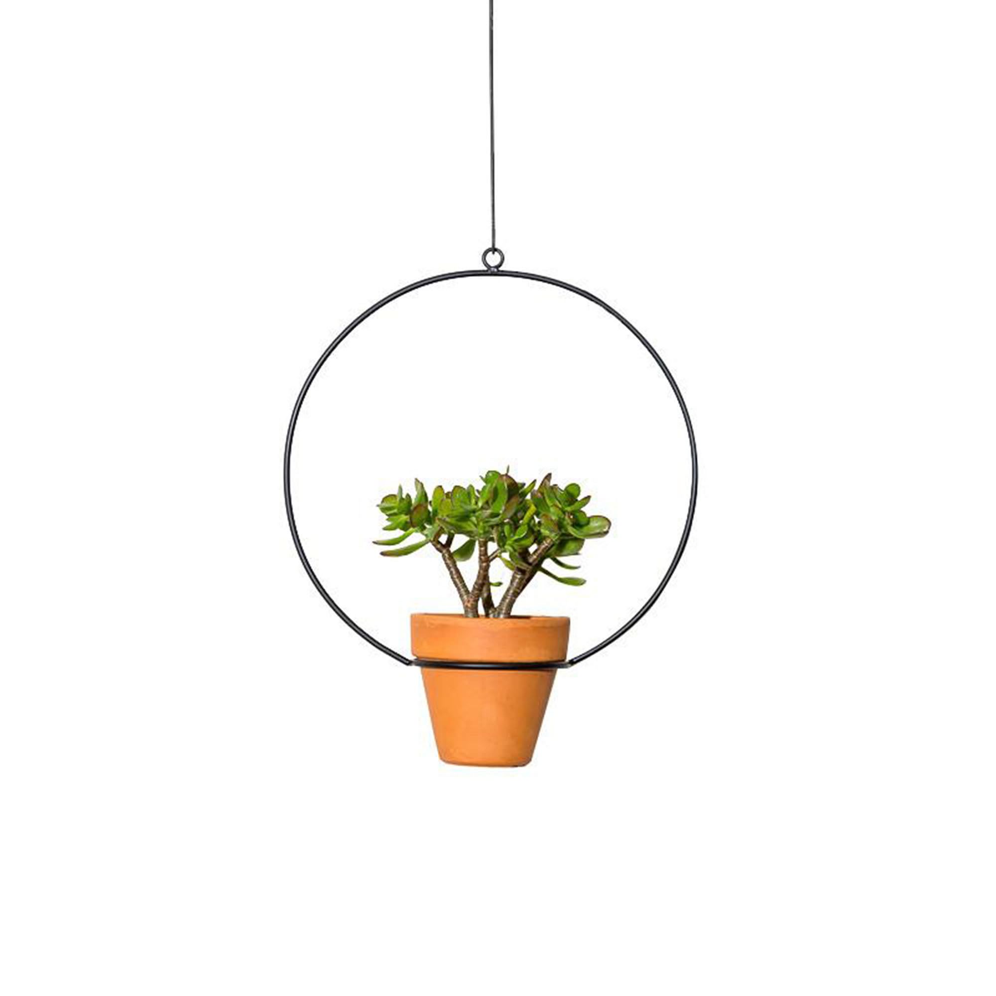 NewMade LA Circle Hanging Planter | West Elm