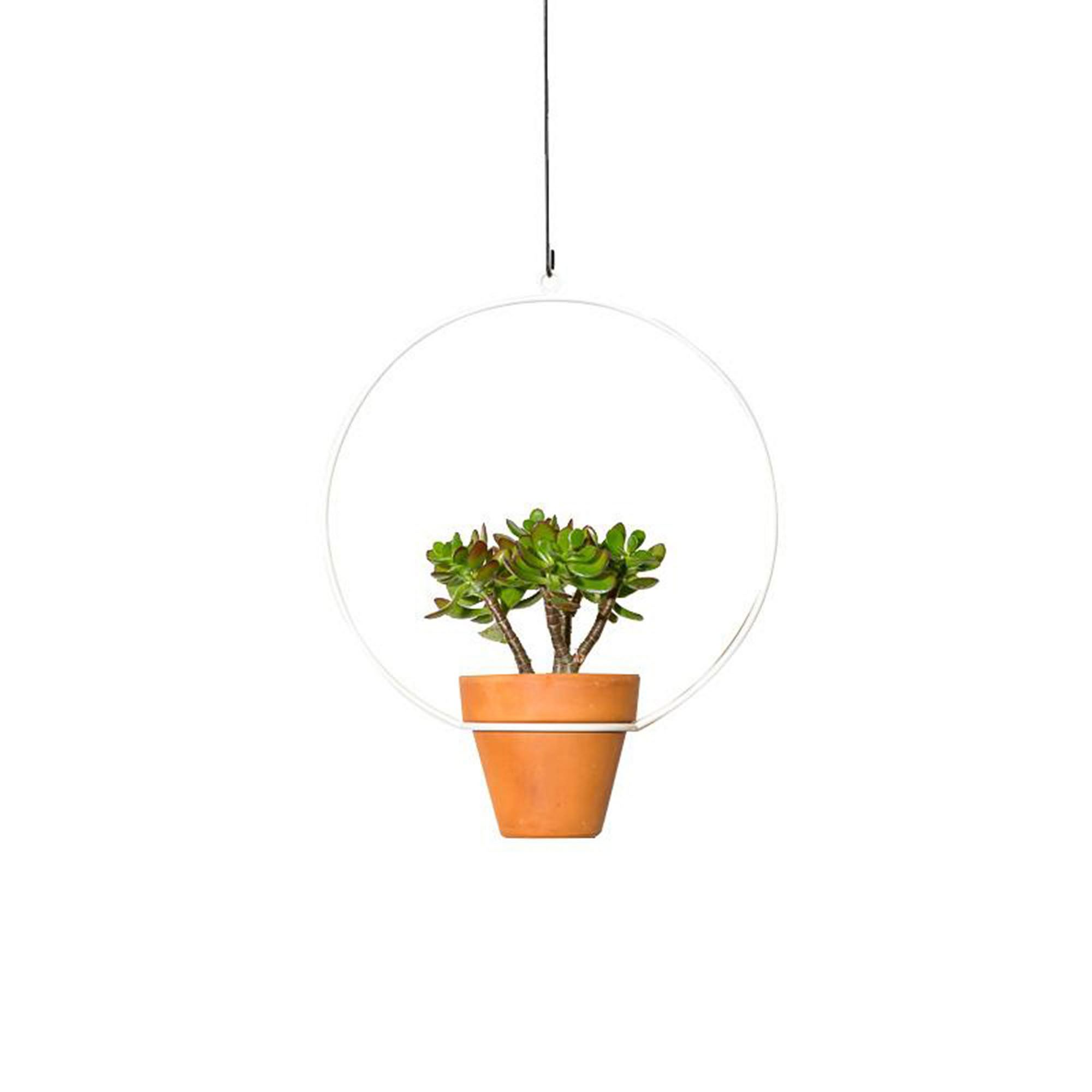 NewMade LA Circle Hanging Planter | West Elm