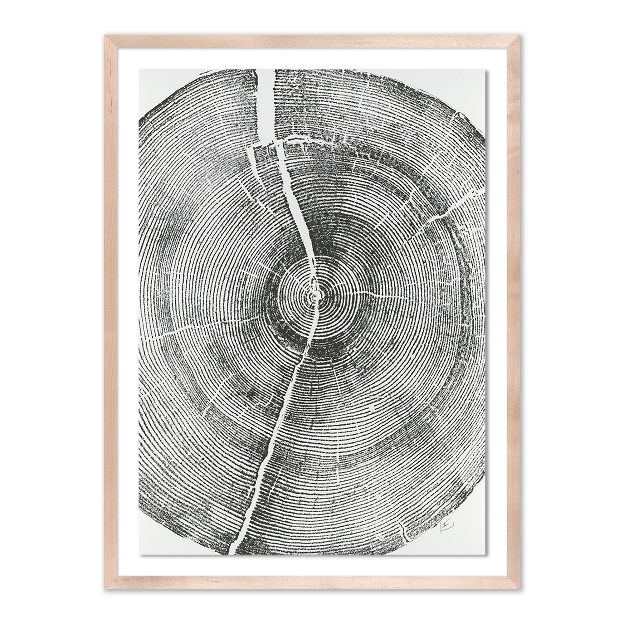 Rock Canyon Pine Framed Wall Art by Erik Linton | West Elm